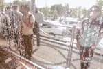 new