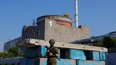 زلنسکی شرایط نیروگاه اتمی زاپروژیا را «وخیم» توصیف کرد