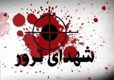 شهادت افسر پلیس راهنمایی و رانندگی توسط تروریست‌ها در سراوان
