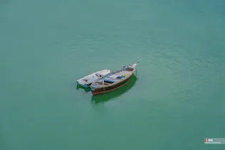 بریس