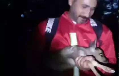 نجات بره مرال از دل آتش در پارک ملی گلستان