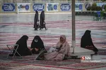 زائر