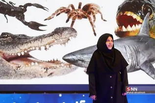 شلق