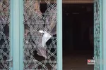 دانشگاه شریف