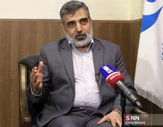 سخنگوی سازمان انرژی اتمی: فعلاً از غنی‌سازی ۴.۵ درصد عبور نمی‌کنیم