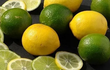 قیمت لیموترش در بازار ۳ برابر نرخ مصوب/ بی&zwnj;اعتنایی به تهدید تعزیرات