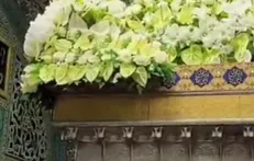 گل‌آرایی ضریح مطهر رضوی به مناسبت عید غدیر