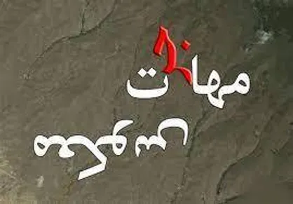 مهاجرت معکوس/ هجرت چرا؟ برگرد و بساز