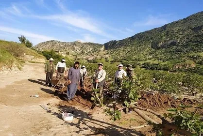 انجیرستان&zwnj;هایی که به همت جهادگران نجات پیدا کردند