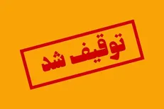 توقیف تریلی حامل کالای قاچاق حین خروج از اسکله در هرمزگان