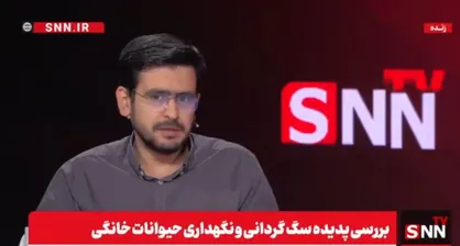 توضیحات کارشناس محیط زیست در رابطه با فاجعه در حیات وحش به علت به هم خوردن تعادل زاد و ولد سگ&zwnj;ها+فیلم