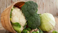 فواید شگفت انگیز نوعی سبزی در برابر غول سرطانی
