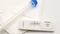 با نانومواد، PCR پنج دقیقه‌ای جواب می‌دهد!