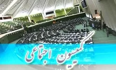 درخواست برای تسریع روند ارجاع لایحه امنیت زنان به مجلس