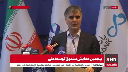 فرزین: صندوق توسعه ملی باید به جای پول دادن، سهامدار بانک&zwnj;ها شود/ باید اساسنامه صندوق تغییر کند؛ وصله پینه کردن فایده ندارد