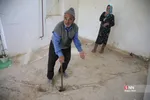 دبب