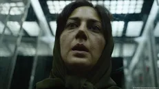 «عنکبوت مقدس» در روسیه متوقف شد