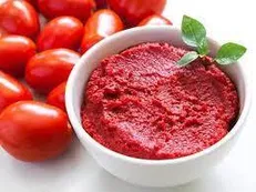 بختیاری: ۵۰ درصد کارخانجات تولید رب گوجه فرنگی تعطیل شدند