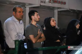 دبب