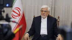 نخست وزیر روسیه با عارف دیدار کرد
