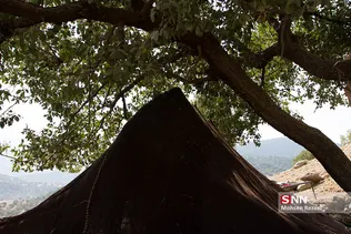 new