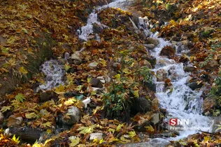 پاییز