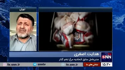 بازار مرغ رها شده است | وزارت جهاد کشاورزی نتوانست وظایف خود را به خوبی ایفا کند