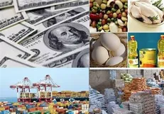جزییات واردات کالا‌های اساسی/افزایش واردات ذرت، دانه‌های روغنی، گوشت قرمز و جو