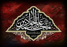 امام جواد علیه السلام چگونه به شهادت رسیدند؟