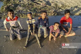 شالی برنج