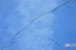 435345