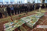 بیبب