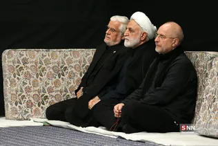 دبب