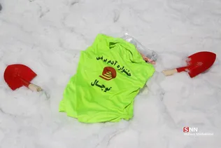 دبب