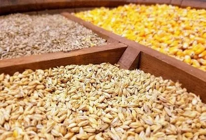 کاهش ۲۶ درصدی واردات نهاده&zwnj;های دامی