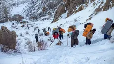 ثبت ۱۰۰ میلیون دلار واردات کولبری در گمرکات آذربایجان‌غربی