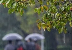 پیش بینی بارش پراکنده باران برای گیلان و اردبیل
