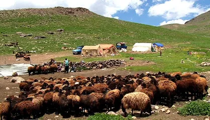 تسهیلات عشایری به بیش از ۲۰ هزار میلیارد ریال افزایش می&zwnj;یابد/ ثبت سامانه&zwnj;ای خدمات عشایری از مرداد امسال