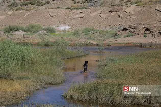 قمرود