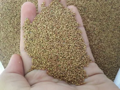 کنترل بذر و گیاهان همراه مسافران خروجی