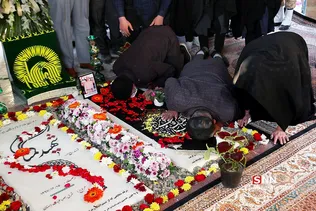 طزدز