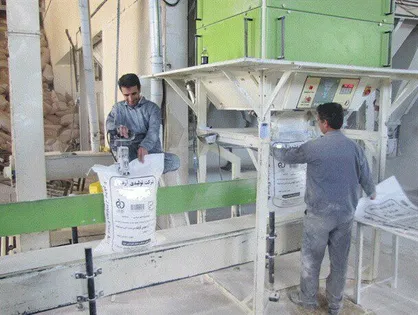 سالانه ۲۴۰ هزار تن آرد در گلستان تولید می&zwnj;شود