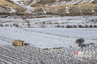 طبیعت برفی