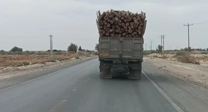 خروج هرگونه بار چوب و محموله های مرتبط از استان سیستان و بلوچستان ممنوع شد