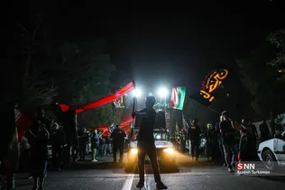 دبب
