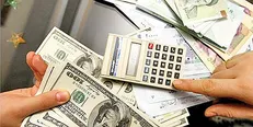 احتمال سقوط آزاد نرخ ارز/ خرید دلار ریسک زیادی دارد؛ مردم دلار نخرند