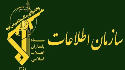 بازداشت ۹۰ عامل اصلی حوادث تروریستی در زنجان