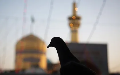سال نو را از حرم امام رضا (ع) آغاز کنید/ پخش زنده مراسم تحویل سال از رسانه&zwnj;های مختلف