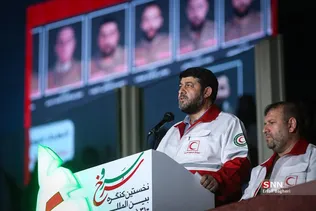 دبب