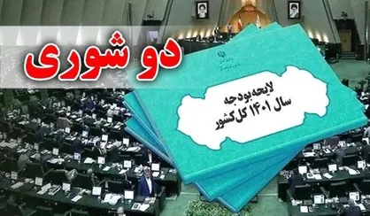 لایحه بودجه در مجلس به صورت دو شوری بررسی می&zwnj;شود